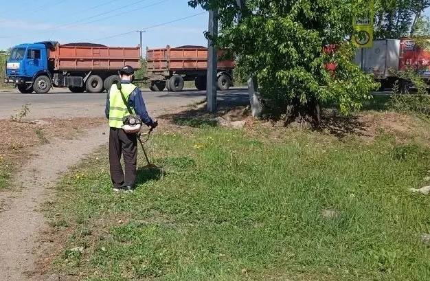 Отличившимся школьникам за покос травы глава Белогорска выплатит удвоенную премию 