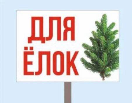 Жители Белогорска определят места сбора постновогодних ёлок